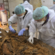 Illustration for article titled The Remains Of Miguel de Cervantes Have Been Found In A Convent